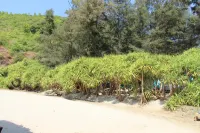 Sandy Shores Beachstay