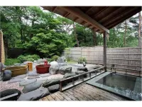 Nikko Toshogu Koyoen - Hot Tub