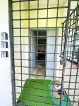 PD Laguna Resort Holiday Hotels in Si Rusa