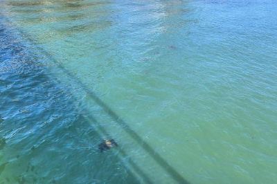 Surroundings Channelview 211 Photo