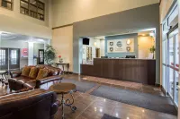 Comfort Inn & Suites - Wifi