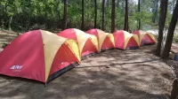 Jajapin Campsite Galunggung Nangreu Hotel di Ciawi