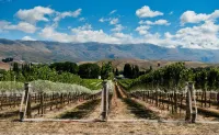 NV Homes Hotels in Arrowtown