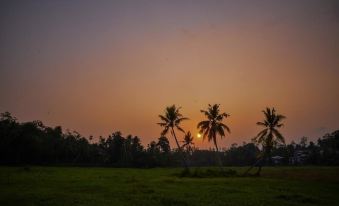 Green View Homestay