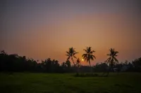 Green View Homestay Hotels in Pilana