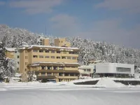 Hotel Kinomezaka Hoteles en Minamiuonuma