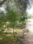 B&B Mazzarella
