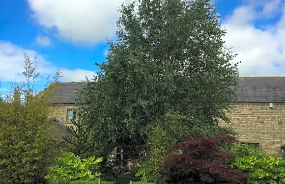 漢姆佩勒斯小屋住宿加早餐旅館