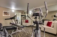 Quality Inn & Suites Athens University Area - Gym