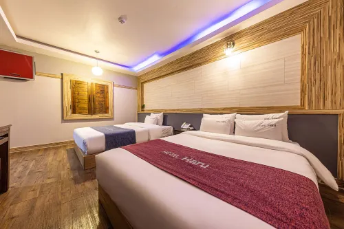 Hotel Haru
