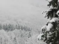 Deerhill Inn - Mountain view