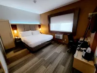 Holiday Inn Express Roslyn - Long Island Hotels in North Hempstead