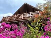 A Log House with Mt Fuji View [Minami Hakone Atami Hotels in Kannami