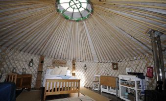 Glamping on the Hill