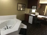 Microtel Inn & Suites by Wyndham Lithonia/Stone Mountain Stonecrest住宿飯店
