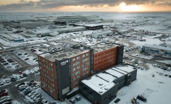 1. Aurora H..
