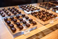 Georgetown Inn Seattle Hotels in White Center