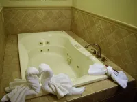 ブルーグラス エクステンデット ステイ ホテル レキシントンのホテル