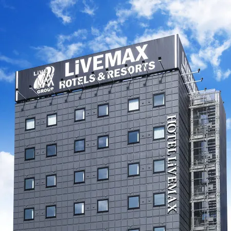 HOTEL LiVEMAX Okazaki