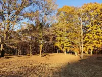 Forest Kongming Whole House Rental Hotels in Tsumagoi