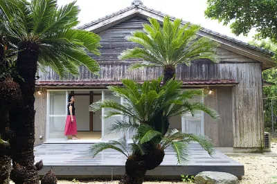 Denpaku Tokunoshima (Amagi Town)