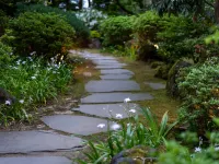 Shaga-No-Sato Yumeya