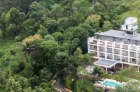 Wild Avenue Resort & Spa