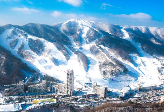 휘닉스 호텔 평창