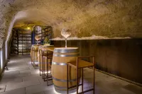 Palacio Tondon, la Rioja Brinas - bar
