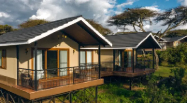 Ngorongoro Lions Paw