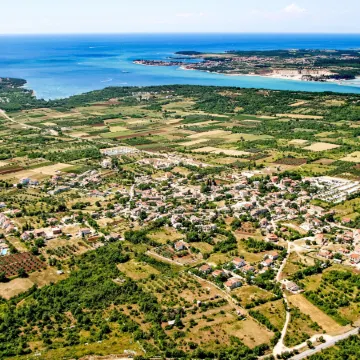 Ledi