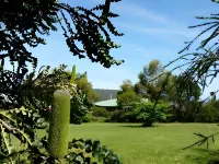 더 부메랑 앳 요한나 Cape Otway Lighthouse walking path 주변 호텔