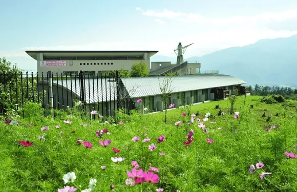 海蒂之村SPA與餐館酒店 克拉拉館