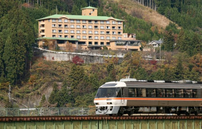 Hotel de Marronnier Gero Onsen