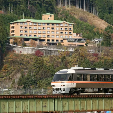 Hotel de Marronnier Gero Onsen