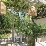 Blaga House Design Dacha Guest House