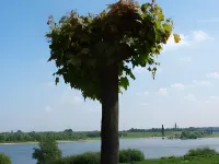 Hotel-Restaurant Orsoyer Hof Hotels in Rheinberg
