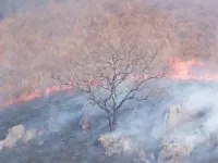 APA Hotel (Fukuoka Yukuhashi Ekimae) Hotel a Yukuhashi
