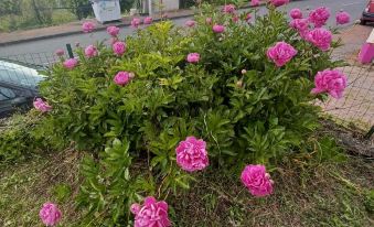 Logis Pivoines Maison Proche Le PAL à Trézelles