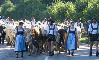 FeWo "Via Decia", Oberstaufen