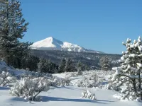 Lovely Log cabin in heart of Big Sky