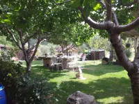 Nice pairal house