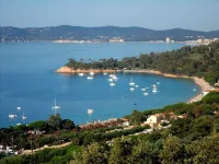 Apartment/ flat - Le lavandou