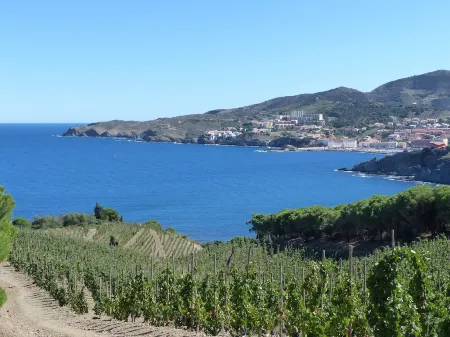 Large air-conditioned T2, private parking near the center and beach