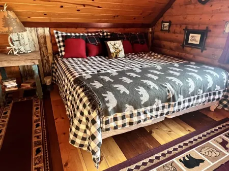 Log cabin on 9 acres. Perfect for a winter retreat or summer trip to the river.