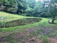 Camping in the Laurel Highlands. Nearby to Ohiopyle and Yough Lake.