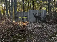 Rising Fawn Barn Guesthouse in the Woods on Lookout Mountain GA. Hotels in Dade County