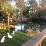 Romantic Spa Experience in Luxurious Creekside Honeymoon Cottage in the Landings