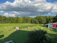 Trails End Cabin, Pet Friendly, Lake James Oasis