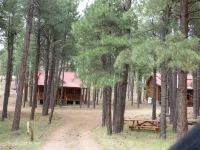Circle Pine Ranch-"The Real Log Cabin Experience"